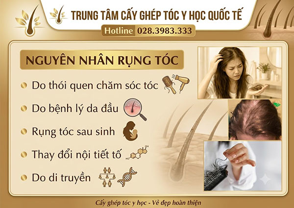 nguyên nhân gây rụng tóc
