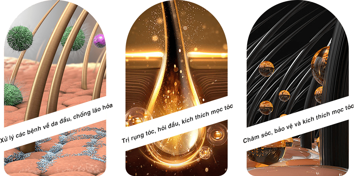 banner rụng tóc